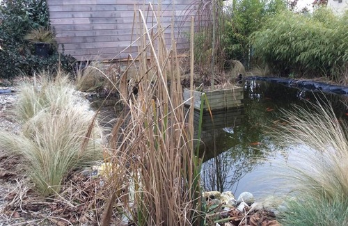 Tours-en-Vimeu Cottage | L'atelier du cottage-Cottage-Comfort-Ensuite-Garden view