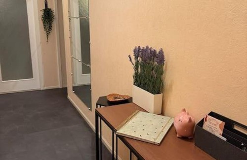 Faubourg-Raines Apartment | L escale de l Ouche