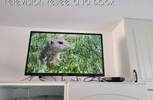 Meusnes House | L'harmonie - 15 min de Beauval