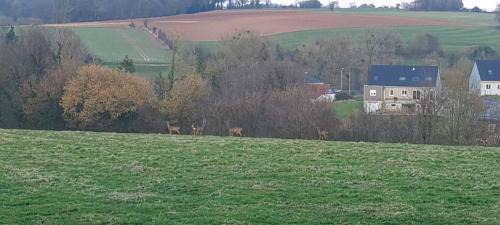 Preures House | L'impasse de la colline