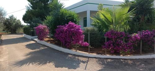 Capilungo Villa | L'Oasi