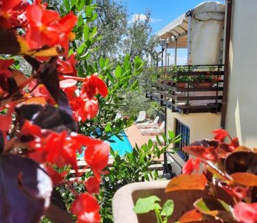 Cineto Romano Hotel | L'Oliveto