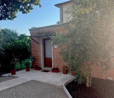 Ponteginori House | L'Olivo