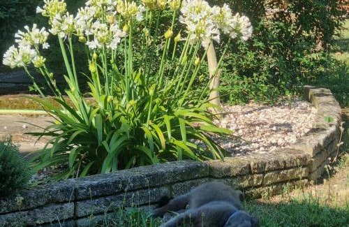 Carbonne House | L'Oustalet classé 2 étoiles