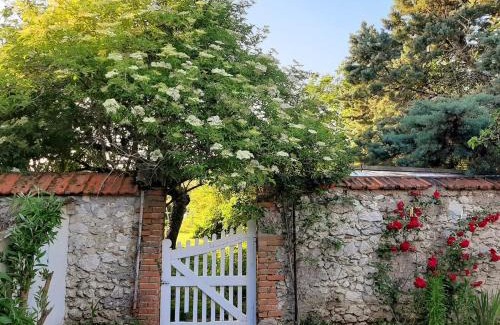 Cour-Cheverny Bed & Breakfast | La Bervinière