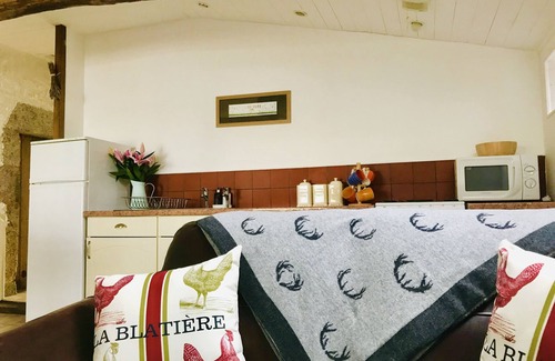 La Chapelle-Saint-Etienne House | La Blatière The stables-pool, sauna&gym-games room,rural setting close to it all