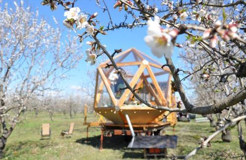 Valensole Other | La bulle ico