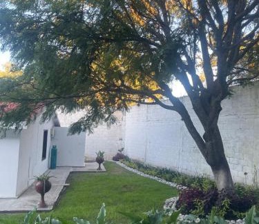 Yauhquemehcan Apartment | La Cabaña de Don Neto