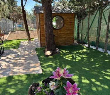 Paredes de Buitrago Ski Chalet | La cabaña de Paredes