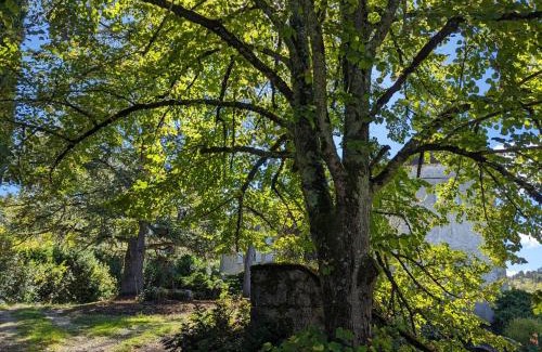 Saint-Vincent-Rive-d'Olt Bed & Breakfast | La Carrétale