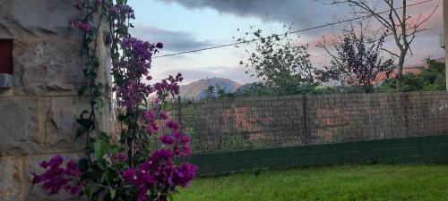 Ardisana House | La casa de abajo