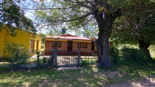 Ischilin House | La casa de David