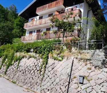 Vodo Cadore Apartment | La Casa dei Cervi a Vinigo