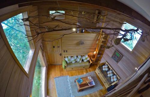 Nercon House | La Casa Del Árbol De Chiloé