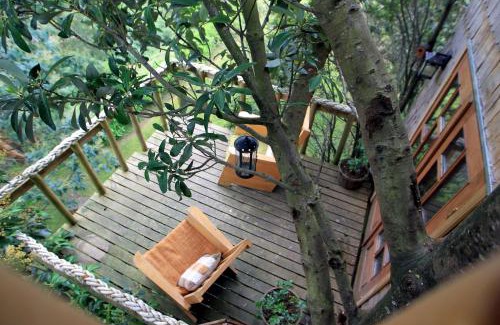 Nercon House | La Casa Del Árbol De Chiloé