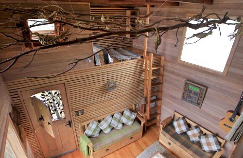 Nercon House | La Casa Del Árbol De Chiloé