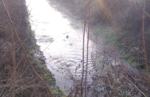 Crova House | La casa di Celeste