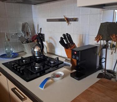 Reggio nell'Emilia Apartment | "La Casa di Gio" Appartamento con giardino privato