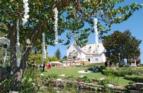 Materdomini Bed & Breakfast | La Casa di Mimma