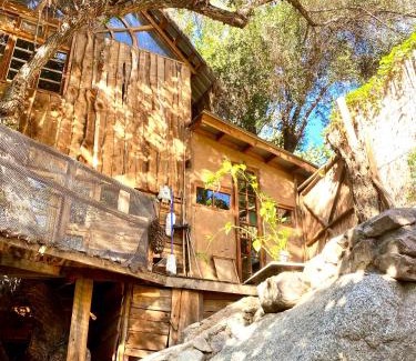 Monte Grande House | La Casa entre los Árboles en el Valle de Elqui Montegrande