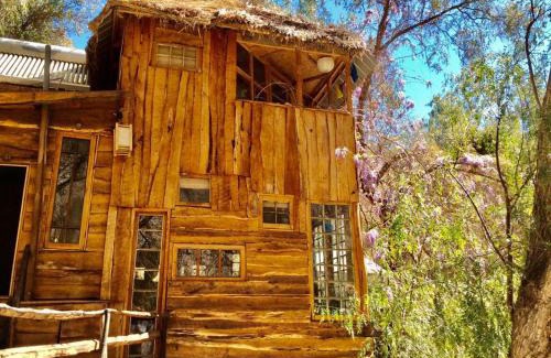 Monte Grande House | La Casa entre los Árboles en el Valle de Elqui Montegrande