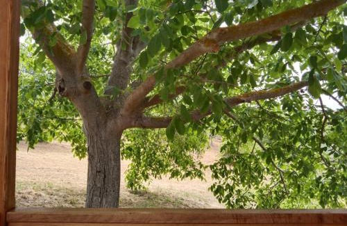 Monteodorisio House | La casetta sotto l'albero LA CAROVANA GITANA