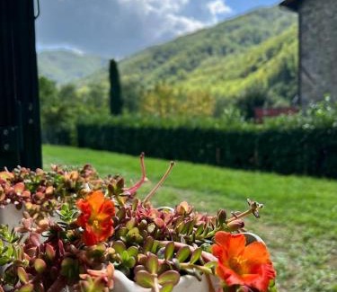 Bagni di Lucca House | La Casina del Bassotto