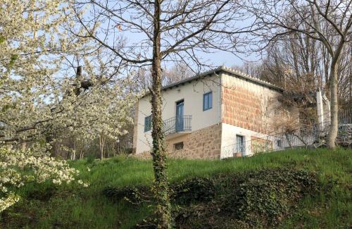 Bejar House | La Casita Del Castañar