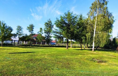 Freire House | La casona mirasol