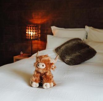 Falmagne Bed & Breakfast | La Chamallow Vachement Douillet