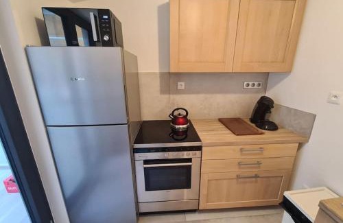 Selestat Apartment | La cigogne d'Alsace 2