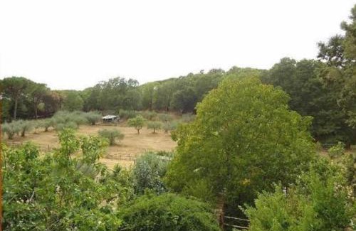 Quartiere XXIV Don Bosco House | La Contea