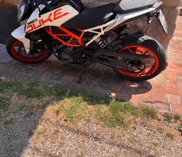 Loiano Apartment | La corte dei celti -1