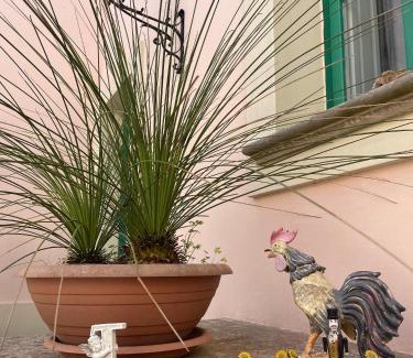 Tricase Apartment | La Corte di Zia Lucia - vicino Ospedale Panico
