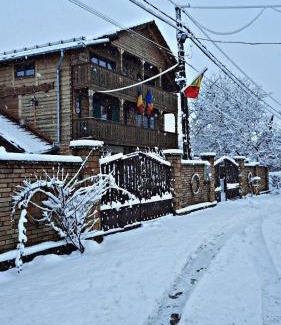Lapus Apartment | La Curtea Veche
