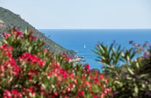 Cassis Bed & Breakfast | La Demeure Insoupçonnée