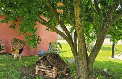 Cruzilles-les-Mepillat Bed & Breakfast | La ferme de Cruz chez Lisa