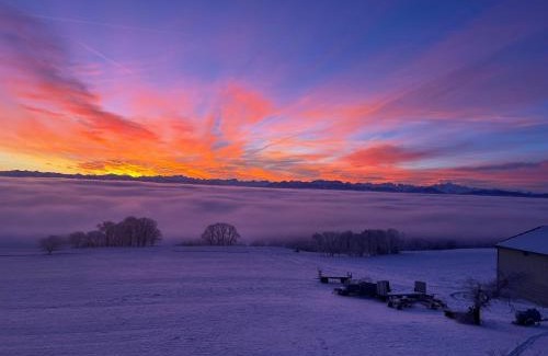 La Praz House | La Ferme de la Praz - Rooms with a View