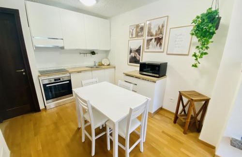 Folgarida Apartment | La Finestra sul Brenta con POSTO AUTO PRIVATO AL CENTRO di MAD di Campiglio CIPAT O22233-AT-O13262