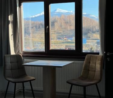 Petrila Apartment | La Garson