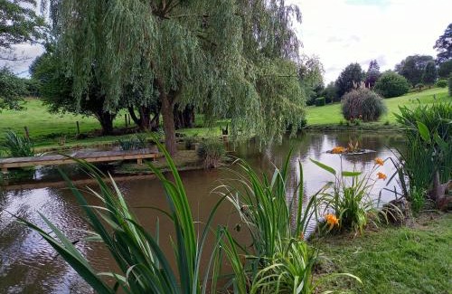 Le Mesnil-Adelee House | La Gasteboisiere with swimming pool and games room