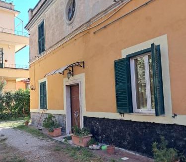 Marino House | la gatta bianca