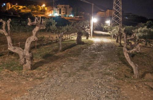 San Demetrio Corone Bed & Breakfast | La Giara B&B