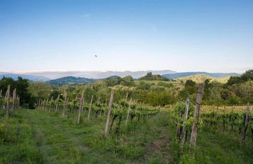 Mossa House | La Ginestra