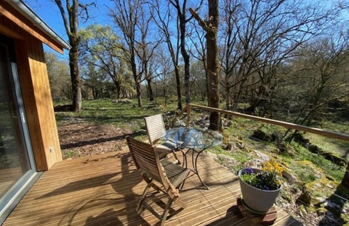 Gramat House | La jonquille