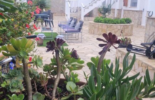 Poble Nou del Delta House | La Llar de Laura