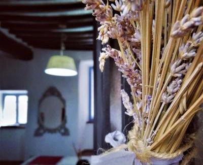 Lugnano in Teverina Apartment | La Loggetta casa vacanze
