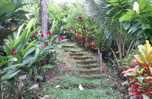 El Castillo Apartment | La Mariola - Finca Agroecológica