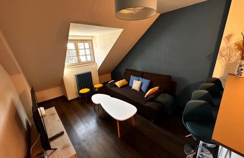 Vic-sur-Cere Apartment | La Maison aux Volets Bleus 3ème Étage