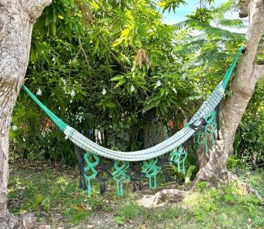 Anse-Bertrand House | La Maison Créole du Flamboyant - Proche des Plages